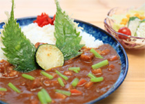 森カレー