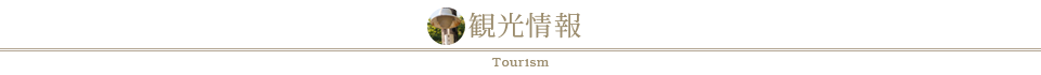 観光情報